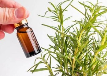 როგორ უნდა მოამზადოთ სწორად როზმარინის წყალი თმისთვის