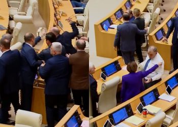 🎥„ოცნების“ დეპუტატმა მგალობლიშვილმა წითლიძეს მიკროფონი მოუქნია” – დაპირისპირება პარლამენტში
