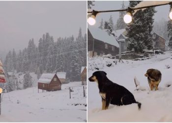 🎥”ასე ლამაზად თენდება გურიაში” – ნახეთ ულამაზესი დათოვლილი ბახმარო