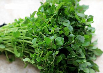 ერთადერთი ბოსტნეული, რომელიც წმენდს სისხლს და აღადგენს დაზიანებულ ქსოვილებს