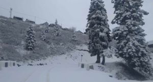 📷 “გომისმთაზე ზამთარი დაიწყო“ - ნახეთ ულამაზესი კადრები გურიიდან