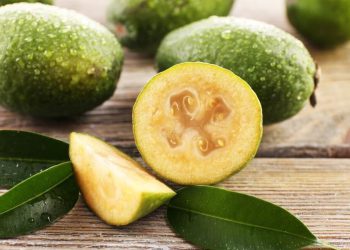 „ერთადერთი მცენარეა, რომელიც იოდის შემცველობით ზღვის მცენარეებს უტოლდება“ – ეს აუცილებლად უნდა იცოდეთ!