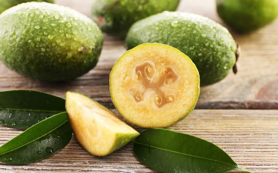 „ერთადერთი მცენარეა, რომელიც იოდის შემცველობით ზღვის მცენარეებს უტოლდება“ – ეს აუცილებლად უნდა იცოდეთ!