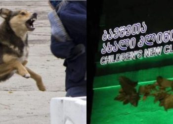 როგორია ძაღლის მიერ დაგლეჯილი 3 და 5 წლის ძმების მდგომაროება ? – სიახლე საავადმყოფოდან