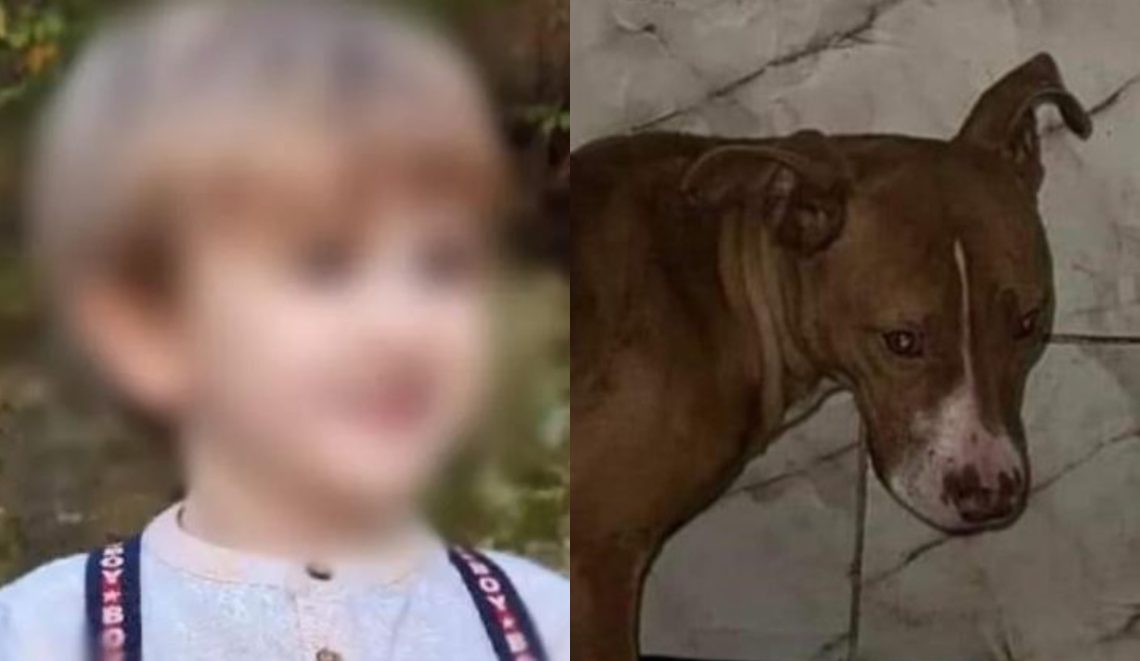 „გამოათრიეთ ეხლა ამ ძაღლის პატრონი და დასაჯეთ. ფსიქიკა დაუნგრია ძაღლსაც და ბავშვებიც რა დღეში არიან…“ – რას წერენ გურიაში მომხდარ ფაქტზე