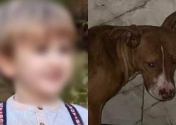 „გამოათრიეთ ეხლა ამ ძაღლის პატრონი და დასაჯეთ. ფსიქიკა დაუნგრია ძაღლსაც და ბავშვებიც რა დღეში არიან…“ – რას წერენ გურიაში მომხდარ ფაქტზე