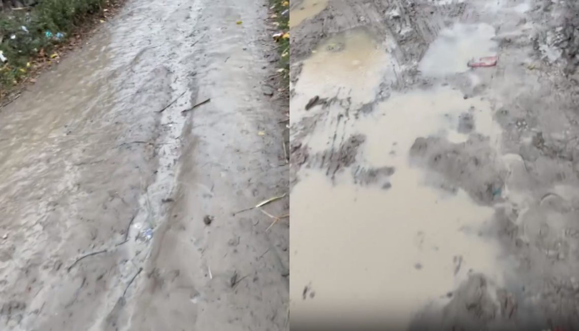 🎥”სოფელი და აგარაკი არ გეგონოთ, ეს თბილისია” – რა ინფორმაციას ავრცელებს მოქალაქე