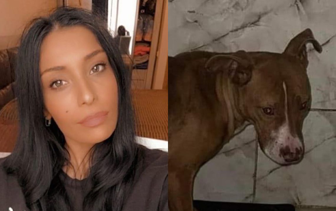 “ძაღლი რომელმაც ოზურგეთში 2 ბავშვი დაკბინა პატრონი აშიმშილებდა” – რა ინფორმაციას ავრცელებს მოქალაქე