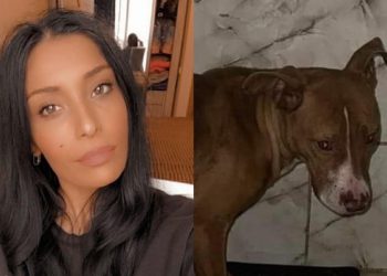 “ძაღლი რომელმაც ოზურგეთში 2 ბავშვი დაკბინა პატრონი აშიმშილებდა” – რა ინფორმაციას ავრცელებს მოქალაქე