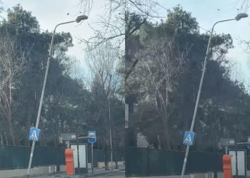 ๐ฅแแแแแแแแแก แแแซแก แฌแแฅแชแแแแกแแแ แแฎแแแแ แแแแแแแแ แแญแแ แก – แ แ แกแแแแแแแจแ แแแแ แแแ แแ แชแแแแแแ แกแแช. แฅแกแแแจแ