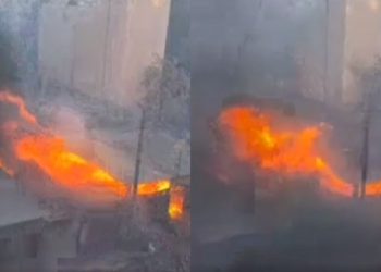 ๐ฅ”แซแแแแ แ แฅแแ แแก แแแแ แฏแแ แฏแแ แแแแ แชแแชแฎแแแก แฉแแฅแ แแแ แแแ แฎแแ แฎแแแแ” – แแแแแแแก แฎแแแซแ แแก แแฎแแแ แแแขแแแแแ