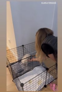 "გაიცანით, ოჯახის ახალი წევრი“ - რას წერს თათია შარანგია