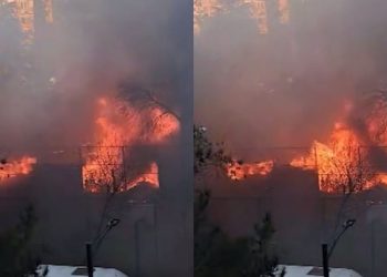 ๐ฅแแแแแแแก แแ-5 แแแแ แแ แแแแแจแ แฎแแแซแแ แแ – แแแแ แแแ แแแแแแแแแ