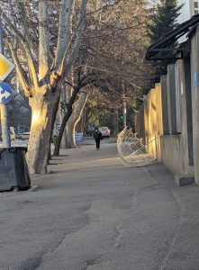 📷"საახალწლო დეკორაციაც კი ცვივა" - დიდუბეში საახალწლო განათება ჩამოვარდა