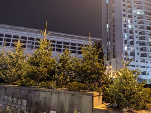 ๐ทโแแแแแ แ แแก แแขแงแแแ, แแแขแแแชแแแฃแแ แกแแแแแแแแแแแ? แกแแแ แขแแก แกแแกแแฎแแแก แฌแแ แฎแแแแ...โ - แ แ แคแแขแแแแ แแ แชแแแแแแ แกแแช. แฅแกแแแจแ