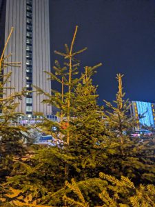 ๐ทโแแแแแ แ แแก แแขแงแแแ, แแแขแแแชแแแฃแแ แกแแแแแแแแแแแ? แกแแแ แขแแก แกแแกแแฎแแแก แฌแแ แฎแแแแ...โ - แ แ แคแแขแแแแ แแ แชแแแแแแ แกแแช. แฅแกแแแจแ