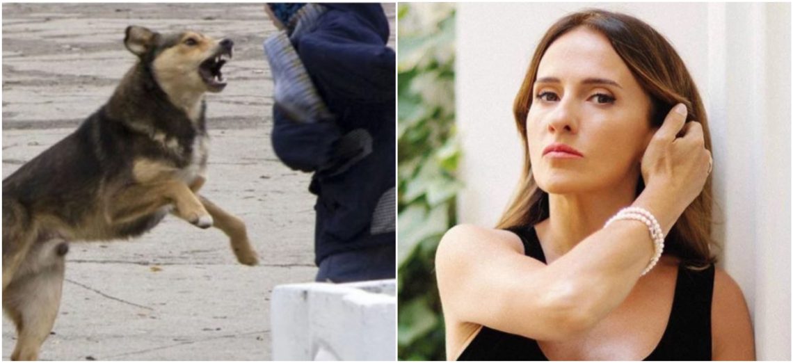 „გადაიყვანა მკვდარი ძაღლი ექსპერტიზაზე, ბანერი დაბეჭდა „SOS აქ ცოფით მოკვდა ძაღლი“ – ვინ არის მაღაზიის მეპატრონე, რომლის წყალობითაც დადგინდა იმ მოზარდის ვინაობა, რომელიც ცოფიანმა ძაღლმა გაკაწრა