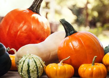 გოგრის კიდევ ერთი სარგებელი – ნახეთ რას უწყობს ხელს მისი ჭამა