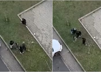 🎥„ასე “ერთობიან” ბავშვები თბილისში, ერთი ბავშვი გადაურჩა დაზიანებას“ – რა  ვიდეო ვრცელდება სოც. ქსელში