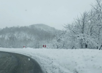 გზების დეპარტამენტი განცხადებას ავრცელებს