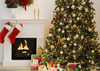 სად უნდა დადგათ ნაძვის ხე, რომ გაააქტიუროთ სიყვარულის, წარმატების და ფულის ენერგიები