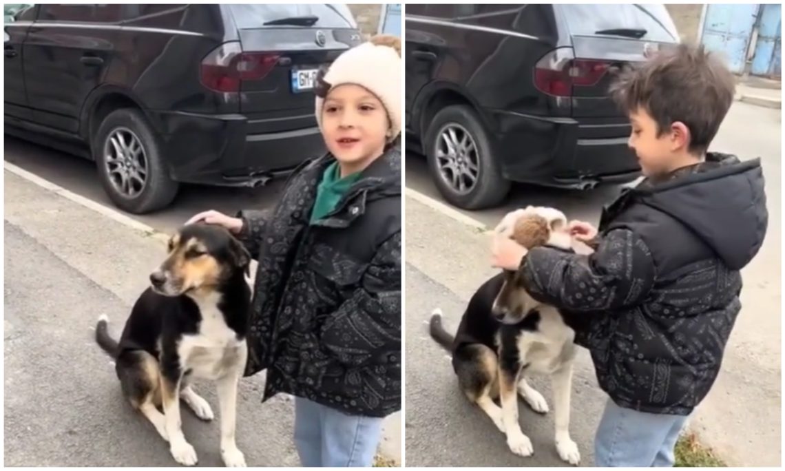 🎥„წავიყვანოთ სახლში, ესეც ცოდვაა, ცივა“ – პატარა ბიჭისა და ძაღლის უთბილესი ვიდეო ნახვების რეკორდს ხსნის