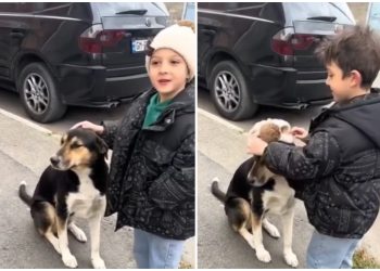 🎥„წავიყვანოთ სახლში, ესეც ცოდვაა, ცივა“ – პატარა ბიჭისა და ძაღლის უთბილესი ვიდეო ნახვების რეკორდს ხსნის