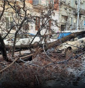 📷ძლიერი ქარის შედეგად ხე მოტყდა და მანქანას დაეცა