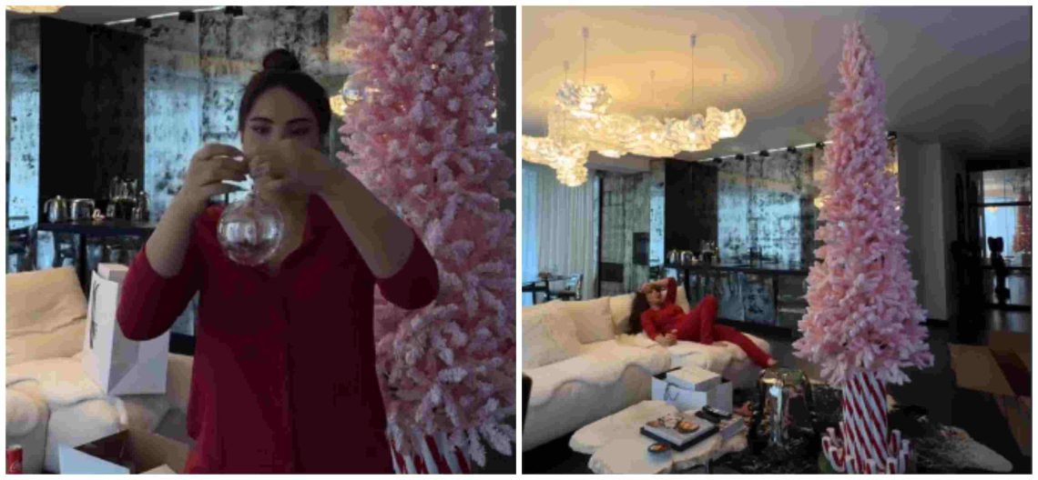 🎥 “უჩვეულო და ულამაზესი” – ნახეთ შორენა ბეგაშვილის განსხვავებული ნაძვის ხე