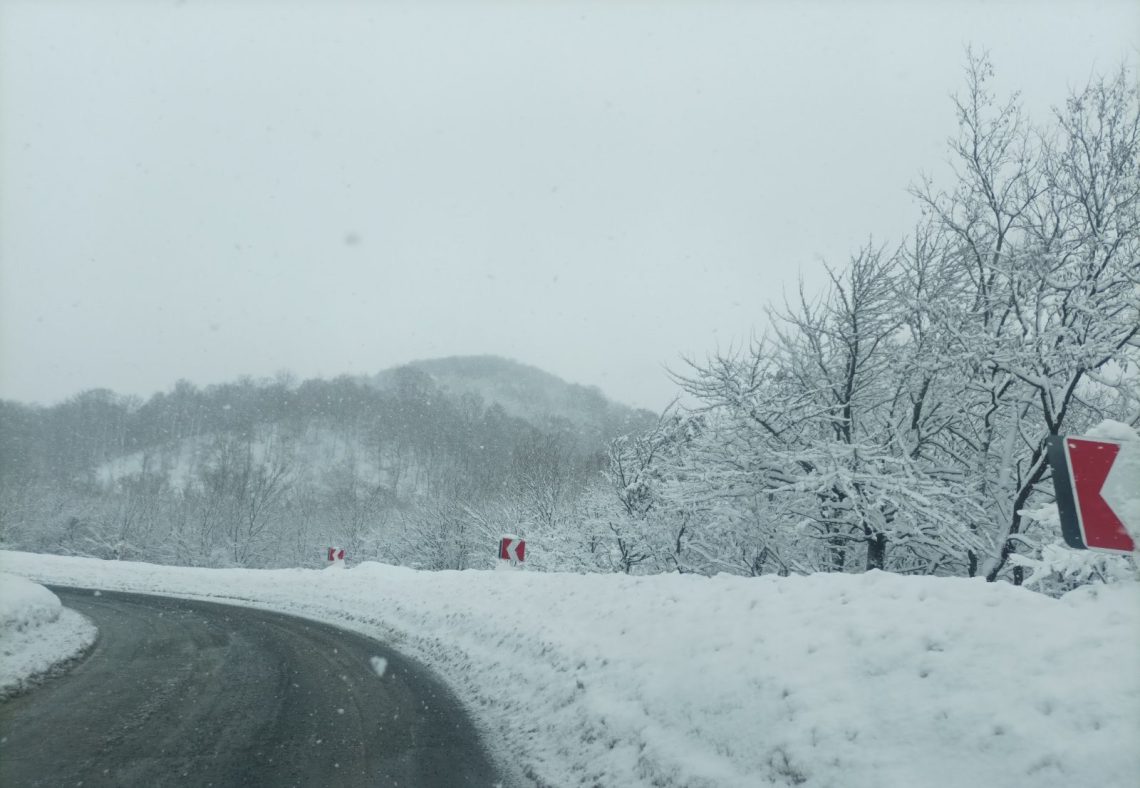 ნახეთ, სად არის ავტოტრანსპორტის მოძრაობა აკრძალულია