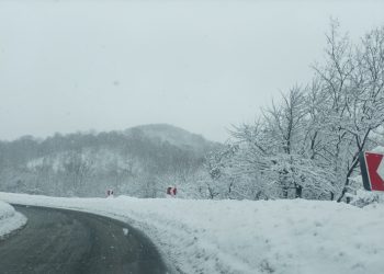 ნახეთ, სად არის ავტოტრანსპორტის მოძრაობა აკრძალულია