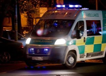 წლინახევრის ბავშვს ლობიო გადასცდა და დაიღუპა – ტრაგედია იმერეთში