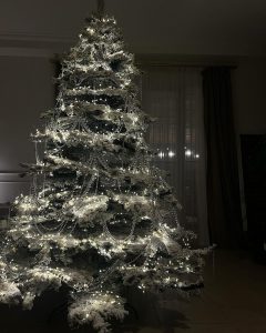 📷ქრისტინე იმედაძის საახალწლო განწყობა - ნახეთ, როგორ მორთო სახლი მომღერალმა