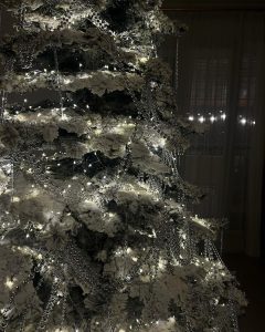 📷ქრისტინე იმედაძის საახალწლო განწყობა - ნახეთ, როგორ მორთო სახლი მომღერალმა