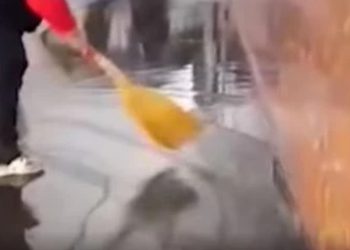 ვიდეო: მეტროსადგურ “რუსთაველში” წყალმა გაჟონა და ბაქანი დაიტბორა