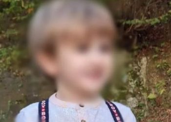 როგორია გურიაში ძაღლის მიერ დაკბენილი პატარა ლაზარეს ჯანმრთელობის მდგომარეობა