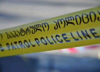 “ბლაგვი საგნით არის მიყენებული თავის ქალის არეში ჭრილობა, გამოირიცხა ასაფეთქებელი ნივთიერება” – რას აცხადებენ ძაღლზე, რომელსაც მძიმე დაზიანებები აღენიშნება
