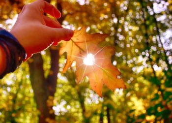 თუ 22 დეკემბრის ღამეს ამ რიტუალს ჩაატარებთ, მაშინ…