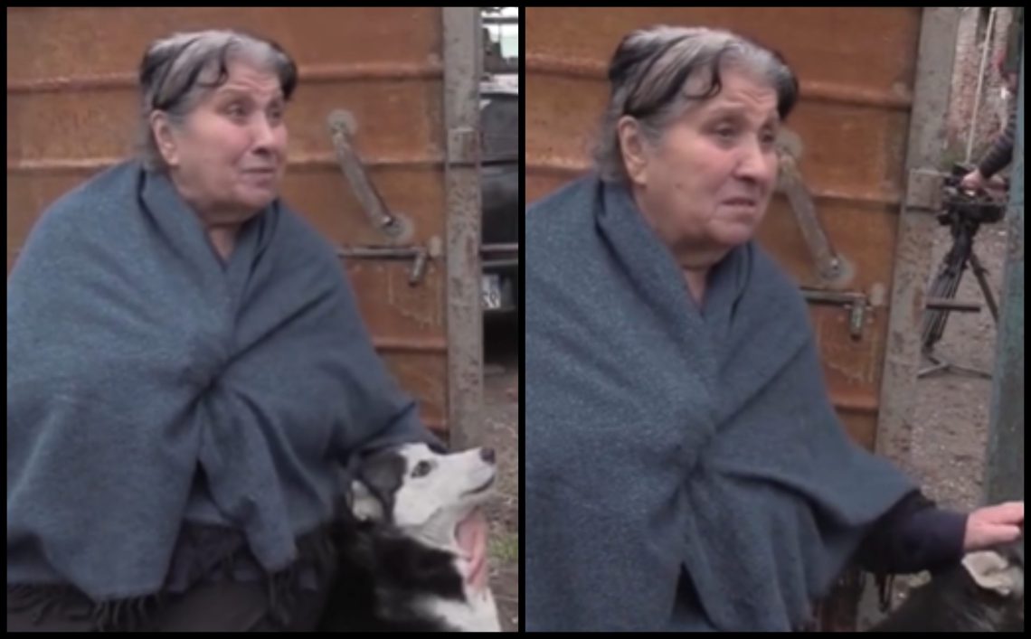 🎥 “ცხოველებს უფრო ვეცოდებით ვიდრე მთავრობას…რო ვტირივარ ესენიც ტირიან” – 72 წლის დევნილი ქალბატონი