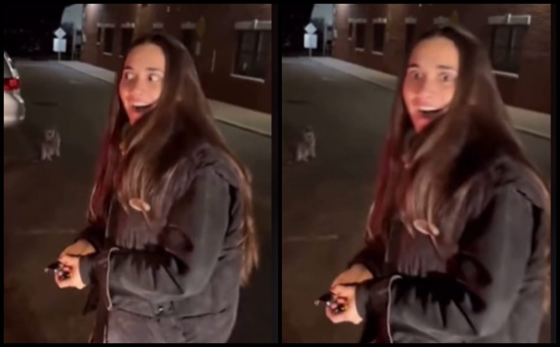 🎥 ლიზა ყენიას მეუღლემ ამერიკაში ავტომობილი აჩუქა – ნახეთ ემოციური კადრები