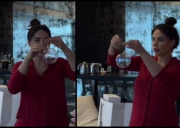 “ყველაზე უჩვეულო დიზაინი” – ნახეთ, რა ფერის ნაძვის ხე დადგა შორენა ბეგაშვილმა