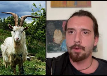 “საიდან შეიძლება მესმოდეს თხის ბღავილი შუა ვაკეში” – რას წერს დომენიკ მანგო