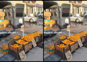 📷 რატომ იყიდება ლაგოდეხში მანდარინი ევროებში? – სახალისო კადრები