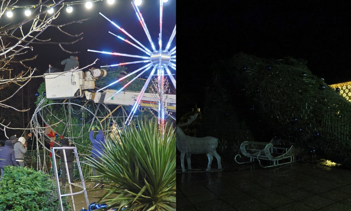 გარდაბანში ძლიერმა ქარმა ქალაქის მთავარი ნაძვის ხე წააქცია