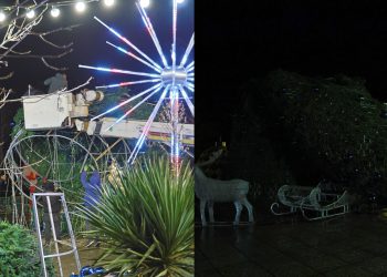 გარდაბანში ძლიერმა ქარმა ქალაქის მთავარი ნაძვის ხე წააქცია