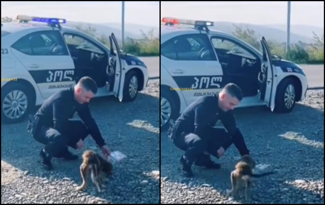 🎥”ნამდვილი ადამიანები არსებობენ” – პოლიციელის და მიუსაფარი ძაღლის ემოციური ვიდეო ნახვების რეკორდს ხსნის
