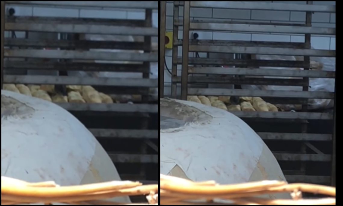 “კარფურში ჩიტი პურს ჭამს და შემდგომ ამას ყიდიან…” – მოქალაქე სოც. ქსელში საგანგაშო კადრებს აქვეყნებს