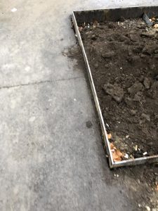 📷„კაცს მოკლავს ან დაამახინჯებს, ნამდვილი სასიკვდილო მახეებია“ - რა ფოტოები ვრცელდება სოციალურ ქსელში წერეთლის გამზირიდან