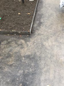 📷„კაცს მოკლავს ან დაამახინჯებს, ნამდვილი სასიკვდილო მახეებია“ - რა ფოტოები ვრცელდება სოციალურ ქსელში წერეთლის გამზირიდან