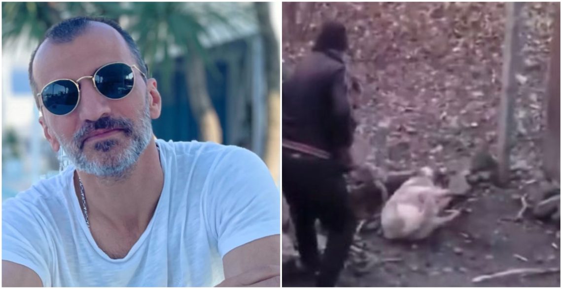 „დამიკავშირდნენ იტალიელი ცხოველთადამცველები, რომლებმაც მოგვაწოდეს იდეა, ამ ძაღლს დავარქვათ ანჯელო ჯორჯია და დავუდგათ მასაც ძეგლი“ – კაჭკაჭიშვილი მარნეულში მოკლულ ძაღლზე